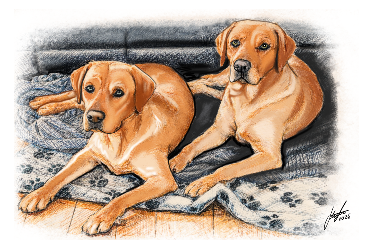 Pet Portrait